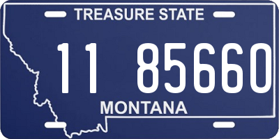MT license plate 118566O