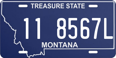 MT license plate 118567L