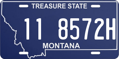 MT license plate 118572H