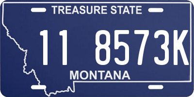 MT license plate 118573K