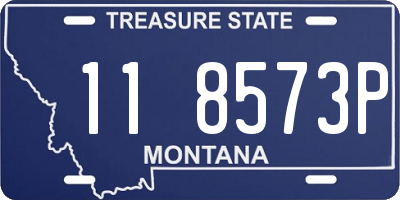 MT license plate 118573P