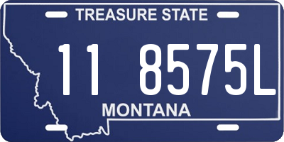 MT license plate 118575L