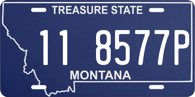 MT license plate 118577P