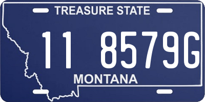 MT license plate 118579G