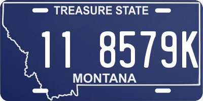 MT license plate 118579K