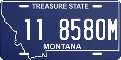 MT license plate 118580M