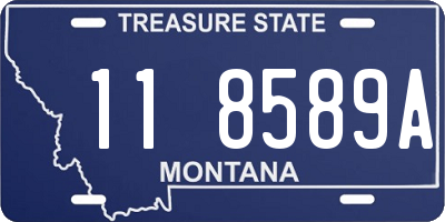 MT license plate 118589A