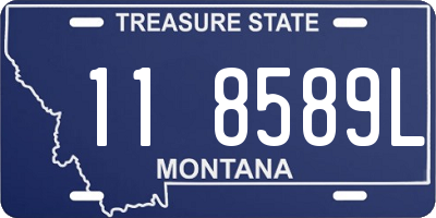 MT license plate 118589L