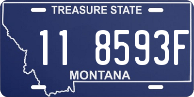 MT license plate 118593F