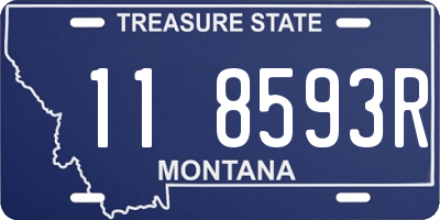 MT license plate 118593R