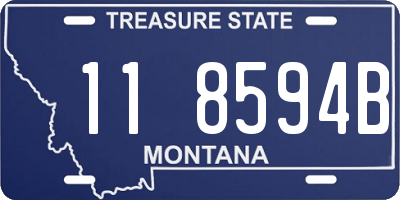 MT license plate 118594B