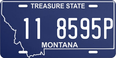 MT license plate 118595P