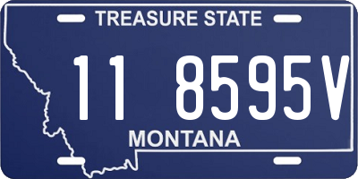 MT license plate 118595V