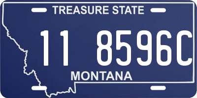 MT license plate 118596C