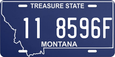 MT license plate 118596F