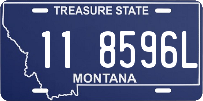 MT license plate 118596L