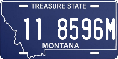 MT license plate 118596M