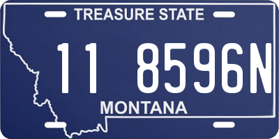 MT license plate 118596N