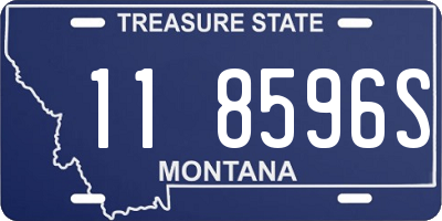 MT license plate 118596S