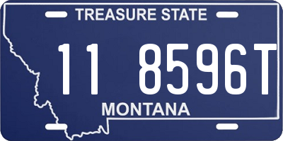 MT license plate 118596T