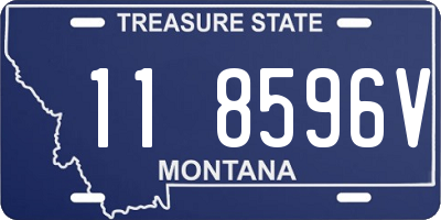 MT license plate 118596V