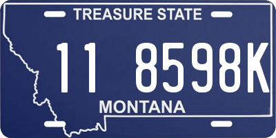 MT license plate 118598K