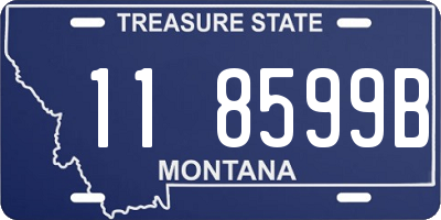 MT license plate 118599B