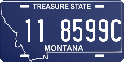 MT license plate 118599C