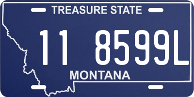 MT license plate 118599L