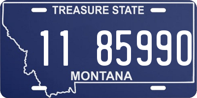 MT license plate 118599O