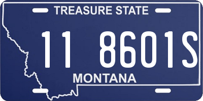 MT license plate 118601S