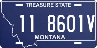 MT license plate 118601V