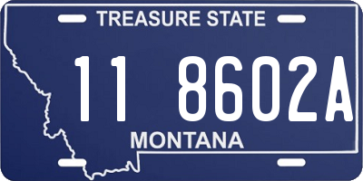 MT license plate 118602A