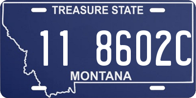 MT license plate 118602C