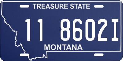 MT license plate 118602I