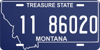 MT license plate 118602O