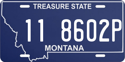 MT license plate 118602P