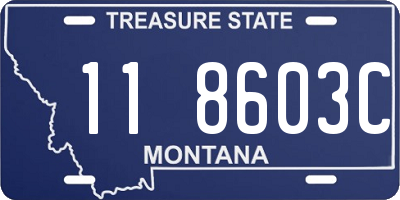 MT license plate 118603C