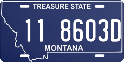 MT license plate 118603D