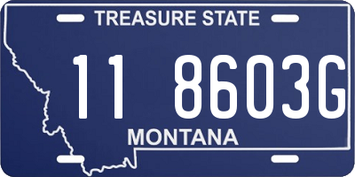 MT license plate 118603G