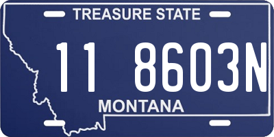 MT license plate 118603N