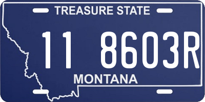 MT license plate 118603R
