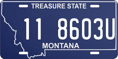 MT license plate 118603U