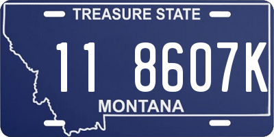 MT license plate 118607K
