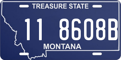 MT license plate 118608B