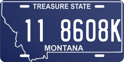 MT license plate 118608K
