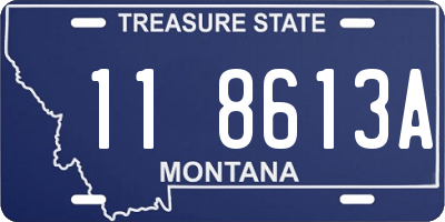 MT license plate 118613A