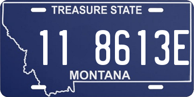 MT license plate 118613E