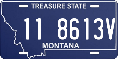 MT license plate 118613V