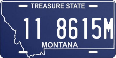 MT license plate 118615M